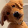 KenRudolph - @user61112143367251 - TikTok