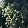 An Ninh Vĩnh Long - @runyonssteenken - TikTok