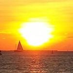Ken Sauer - @kensauer - Instagram