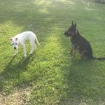 Ken Sauer - @sauerken - Instagram