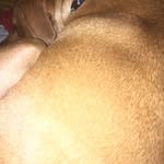 Ken Schoene - @kenschoene - Instagram
