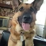 Ken Schweitzer - @kenneth.r.schweitzer - Instagram