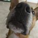Ken Seifert - Facebook