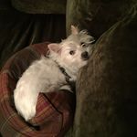 Ken Sexton - @sexton_ken - Instagram