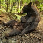 Ken Simms - @espionature - Instagram