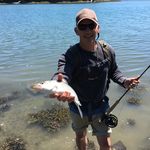 Ken Snelling - @kensnelling - Instagram