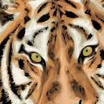 Kentrez Snelling - @snellingkentrez - Instagram