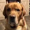 kenspellman367 - @kenspellman367 - TikTok