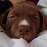 Ken Stein - @kensgw2k - Instagram