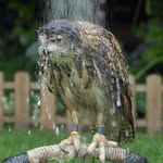 Ken Stein - @kenstein1986 - Instagram