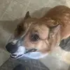 Nathan - @gankenstein - TikTok