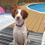 Ken Steiner - @steiner_ken - Instagram