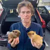 sylvia - @frakensteiner - TikTok