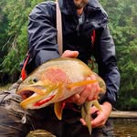 Ken Sterner - @nothidahonrootbound - Instagram