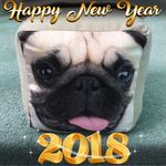 Ken Stockton - @ken.stockton1959 - Instagram