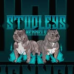 Studleys kennels - @studleyskennels - Instagram