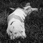 Kendra Sue Sturgill - Facebook