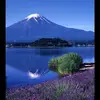 kenichisugai - @kenichisugai - TikTok