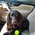Ken Suggs - Facebook