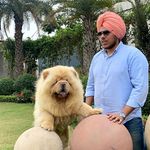 Sunrise Kennel Chow Chow - @sunrise_kennel_chow_chow - Instagram