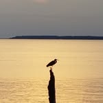 Ken Tapley - @tapleyken - Instagram