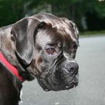 Ken Thomson - @ken.thomson.522 - Instagram