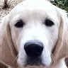 Ken Thomson - @user162386630 - TikTok