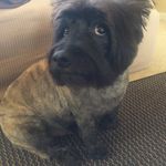 Ken Thomson - @kt.ken - Instagram