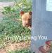 Kenny Thurlow - Facebook