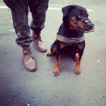 Ken Timmons - @jeanhonesk - Instagram