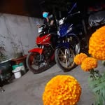 Ken Triệu - @kenvitrieu1992 - Instagram