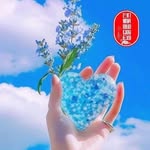 Triều Ken - @kentrieu8 - Instagram