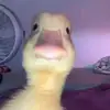 kenuriee - @kenuriee - TikTok