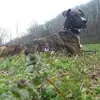 kenvandyke549 - @kenvandyke549 - TikTok