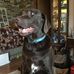 Ken Varner - Facebook