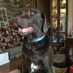 Ken Varner - @ken.varner.969 - Instagram