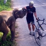 Ken Wade - @oldmanrider - Instagram