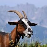 Ken Waite - @ken.waite - Instagram
