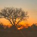 Ken Walker - Facebook