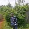 walterken - @kenwalter09 - TikTok
