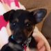 Ken Walton - Facebook