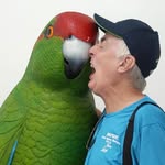 Ken Webb - @catatonic992003 - Instagram