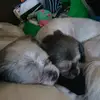 Ken Webb - @ken.webb2 - TikTok