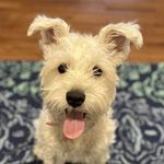 Ken Weeks - @kenweeks88 - Instagram