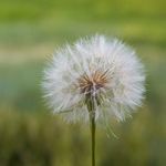 Kendra Weems - @kendraweemsphotography - Instagram
