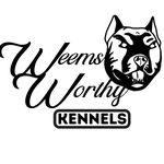 “A Kennel You Can Trust” - @weemsworthykennels - Instagram