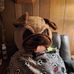 Ken Wenner - Facebook