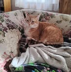 Kenneth Wenzel - Facebook