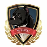 WenzelBullKennel - @wenzelbullkennel - Instagram
