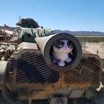 Ken White - @kenlwhite59 - Instagram